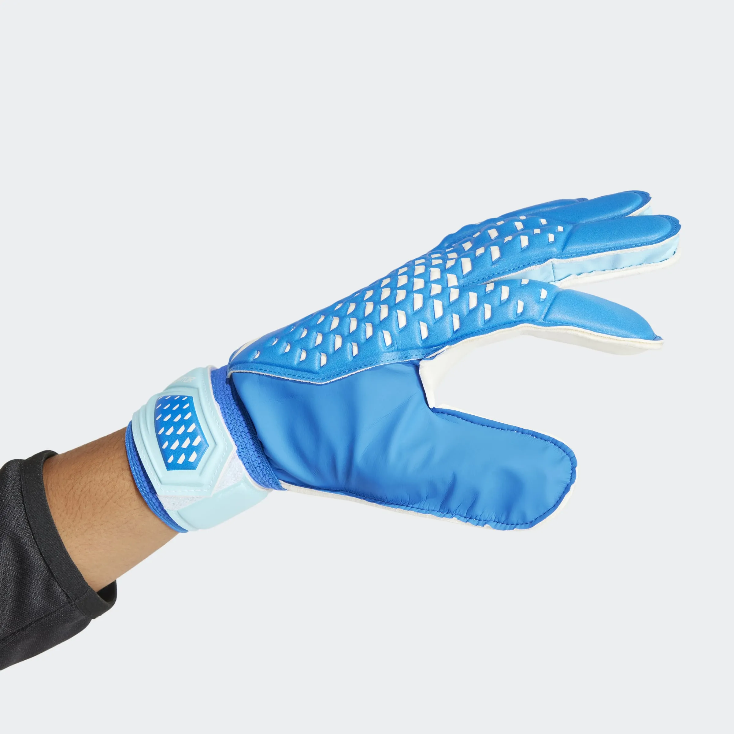 adidas Predator Training Goalkeeper Gloves